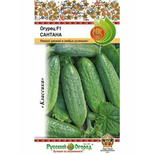 ���������� ������ ������ ������� F1 10�� ������������������ (��)