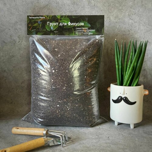 ���������� ������� ����� ��� ������� � �������� �������� Terracotta Plants, 8 ������