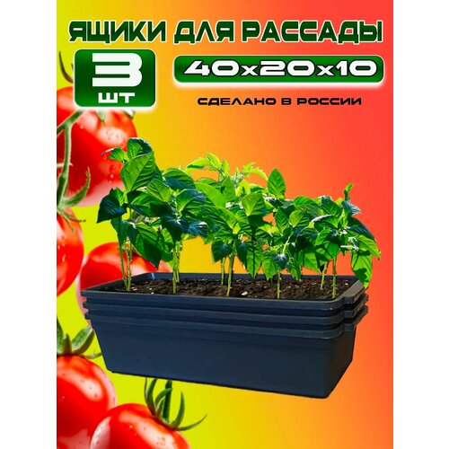 ���������� ����� ��� ������� ����� 3 ��