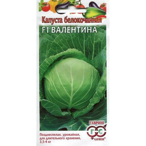 ���������� ������ ������� ������������ ��������� F1 10�� ������� (������)