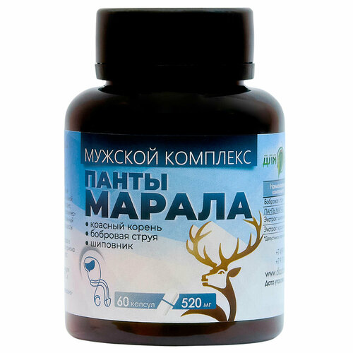 ���������� ����� ������ ������� �������� 60��