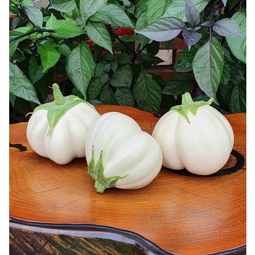���������� ������ �������� ������� ����� � ������ (Thai White Ribbed) / Seeds And Goods / � �������� zip-lock ��� ���������� 10 �����