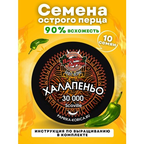 ���������� ������ ������� ����� 