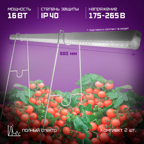 ���������� ��������� ������� � ������ �������� 16W 90 ��, 2 ����� � ������