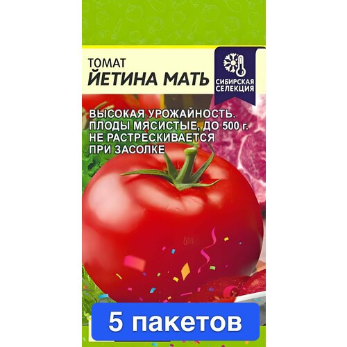 ���������� ������ ������ ������ ����� 