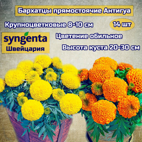 ���������� ������ ������ �������� 