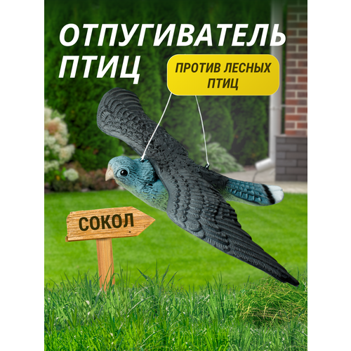 ���������� ������������ ���� �����