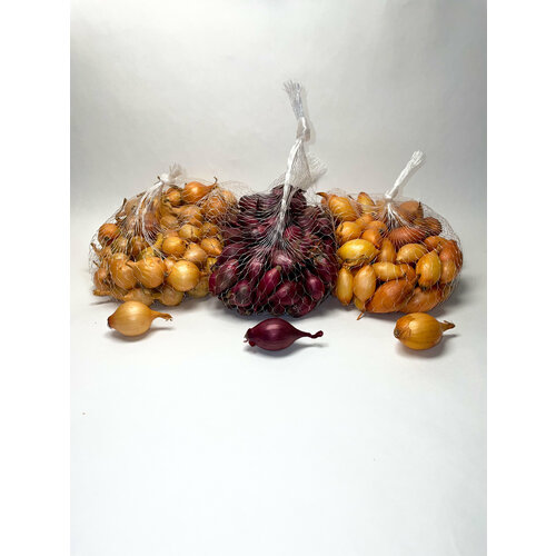 ���������� ����� ���-����� ����������� ����� 10/21 (0,25 ��), ��� ����� 8/21 (0,25 ��) � ������ 10/21 (0,25 ��)