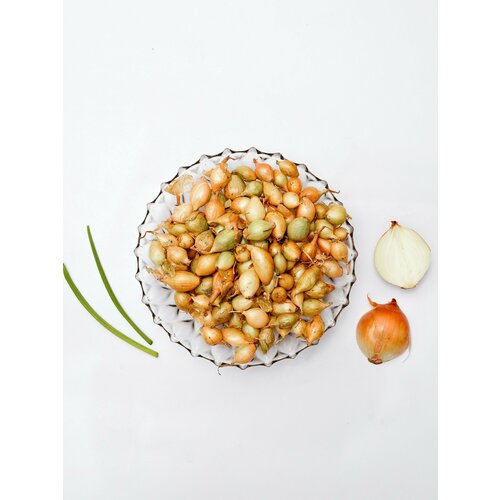 ���������� ���-����� ������������� 2 ������ 1��