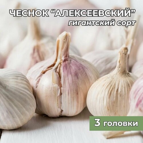 ���������� ���������� ������ ������������ ������ �� ������� 3 �������