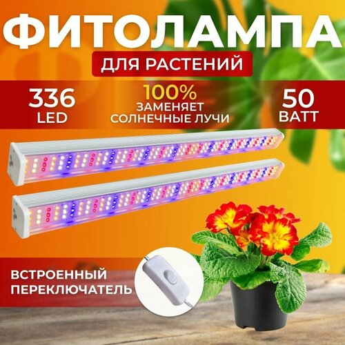       ,     ,     ,  336 LED 50    , -, 