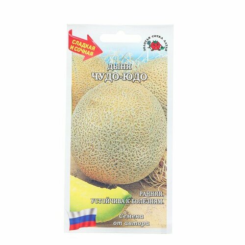 ���������� ������ ���� 