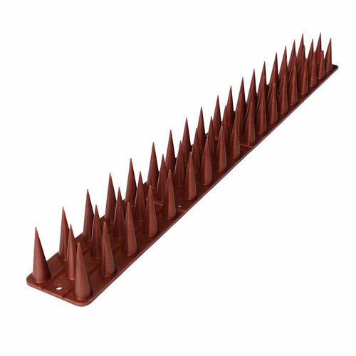 ���������� ���� �� ���� � �������� 