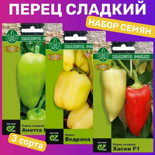 ���������� ����� ����� ����� ��������/ ������, �������, �����