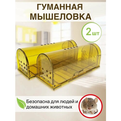 ���������� ��������� ��� ����� ��������, 2 �� �������