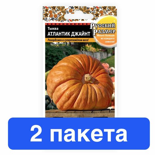 ���������� ������ ������ ������� ������ 