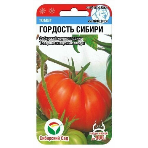 ���������� ������ ����� �������� ������ 20�� ��� ������ (��������� ���)