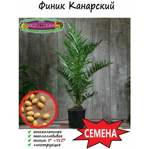 ���������� ������ ����� ��������� (������) 2 ��.