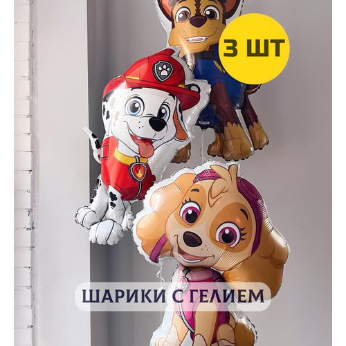 ���������� ��������� ���� 