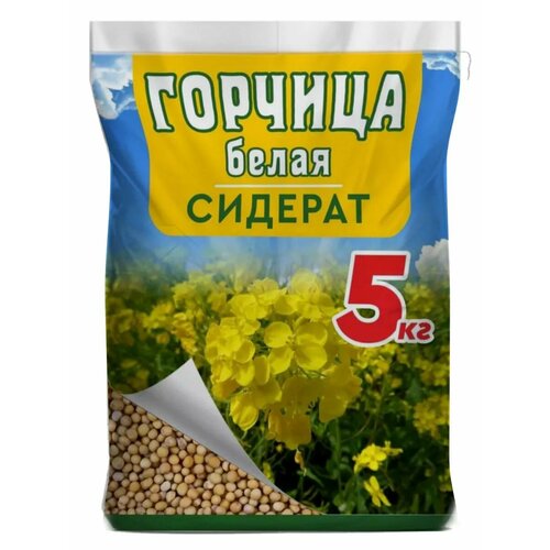 ���������� ������� ������ �������, ��� ������������, ������, �����������, ������� 5 ��.