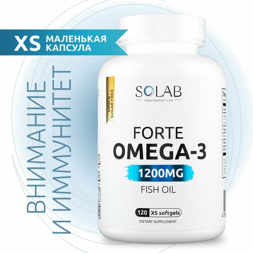 ���������� �����-3 � ���� �������� 60%, XS 1200 ��, ��� ������, ����� � ����������, 120 ��