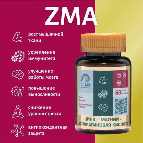   ZMA   ,  +  +  ,  , 60    , -, 