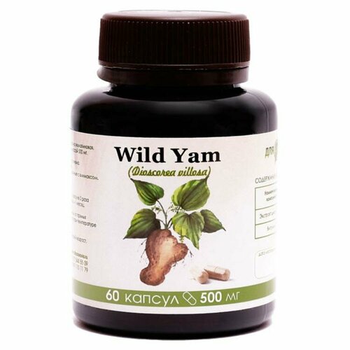   Wild Yam 60    , -, 