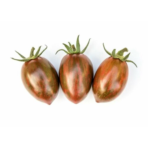   Negro (. Solanum lycopersicum)  10   , -, 