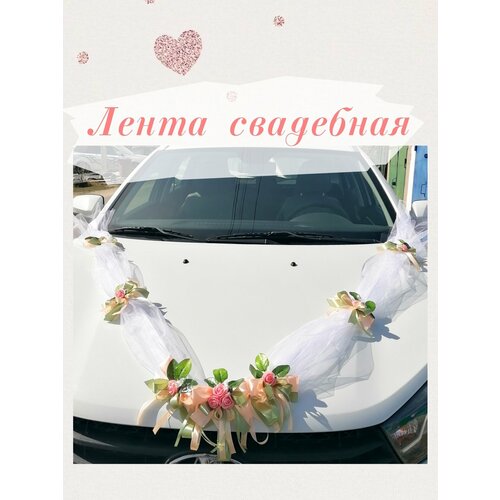 ���������� ��������� ����� �� �����. ��������� �� ��������� ����������.