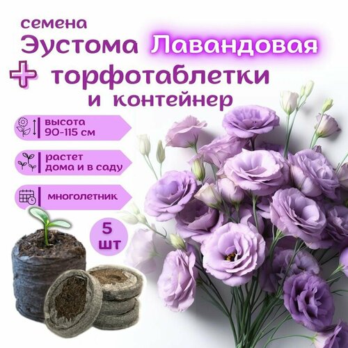 ���������� ������ ������� ������������ ��������� (����������) �����������, ��������� ��������� + �������� �������� Jiffy � �������, 5��