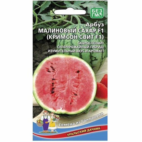 ���������� ������ ����� ��������� ����� (������� ���� F1) 10�� ������ (��������� ������)