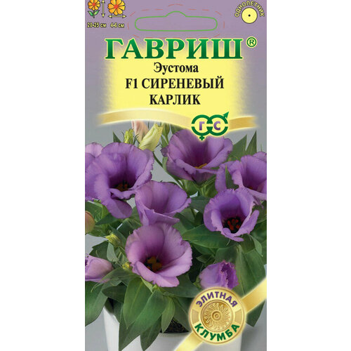 ���������� ������ ������� ��������� ������ F1, 4��, ������, ������� ������, 5 ���������