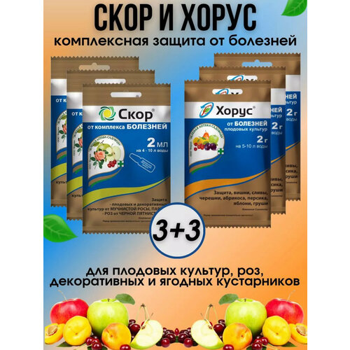 ���������� ����� ������� ��� ������ �������� ����� � ���� 6 ��