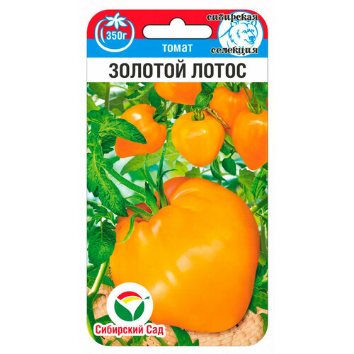 ���������� ������ ����� ������� ����� 20�� ��� (��������� ���)