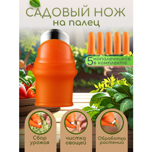 ���������� ������� ��� ���������� ����������� � �������� �������, 6 ���������