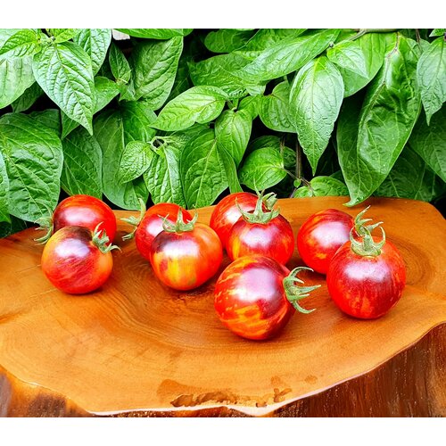 ���������� ������ ����� ��������� ������ (Marchenglanz) / Seeds And Goods / � �������� zip-lock ��� ���������� 10 �����