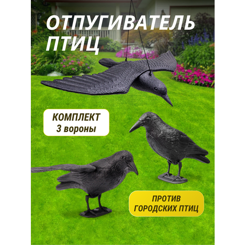 ���������� ������������ ���� �������� 3 ������