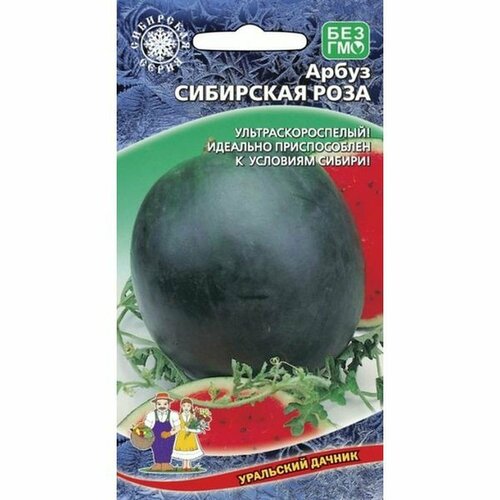 ���������� ������ ����� ��������� ���� 10��