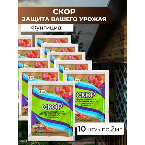 ���������� �������� ��� ������ �������� �� �������� ����, 10�� �� 2 ��