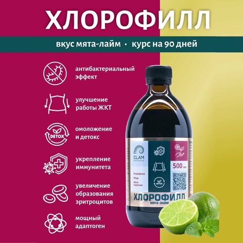 ���������� ������ ������� ��������� ������ ������� ����������� ���������� ��� ��������� � ����������, 500 ��. (���) �� ������ ���� - ����. 100 ������. ClamPharm