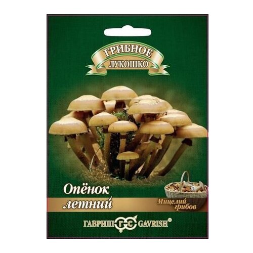 ���������� ������� ������ ������ ������� ������� ������ ������ �� ��������� ������� 12 ��.