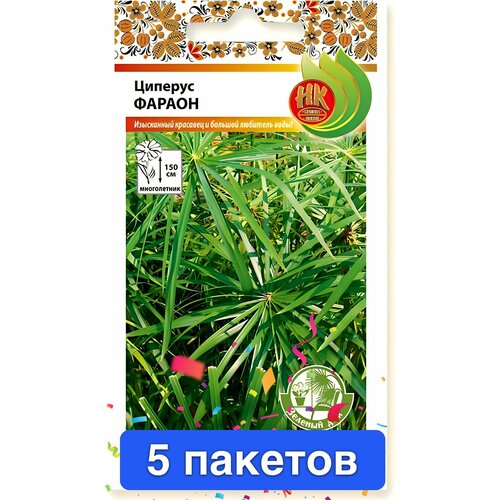 ���������� ����� ������� ������ 5 �������