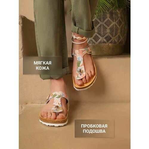 ���������� ������� �������������� �������� Ortmann YORK, ���. 7.03.2, ������ 38