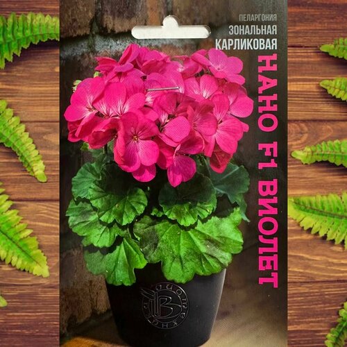 ���������� ������ ������ ��� ���� � ���� ���������� ��������� F1 ������