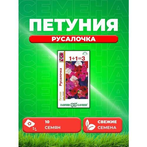 ���������� ������� ��������� ���������, �����, 10�� ����� 1+1