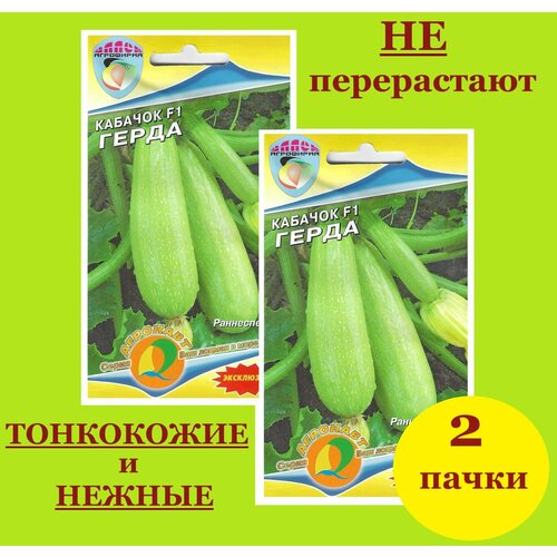 ���������� ������� �������� ������ ����� (2 ��������*5 �� �����)