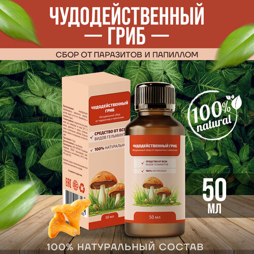 ���������� ��������������� ���� �� ��������� � �������� ������ 50 ��