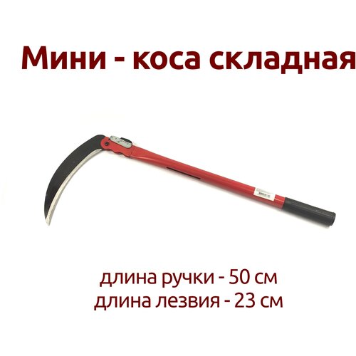 ���������� ����-���� 50�� ��������