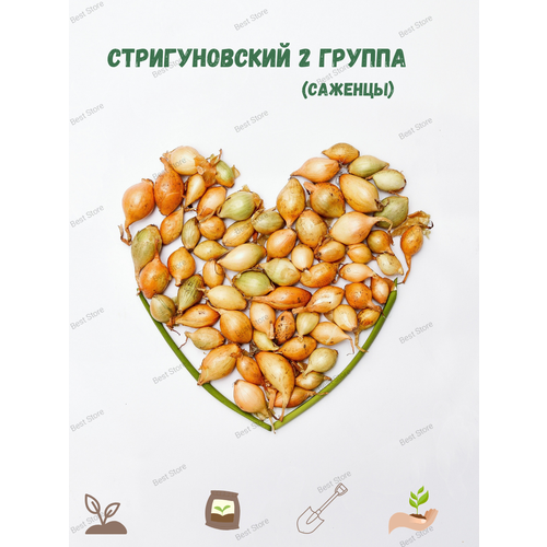 ���������� ���-����� ������������� 2 ������