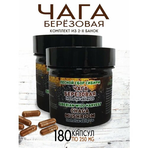 ���������� ���� � �������� ��������� ��������� 180 ������ �� 0,25 � �� ���� ���